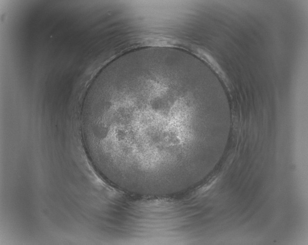 X0000070420433200606161442