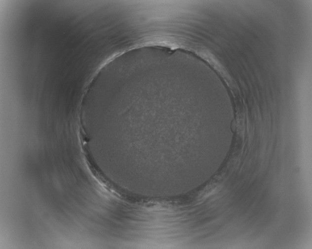 X0000070420434200606161442