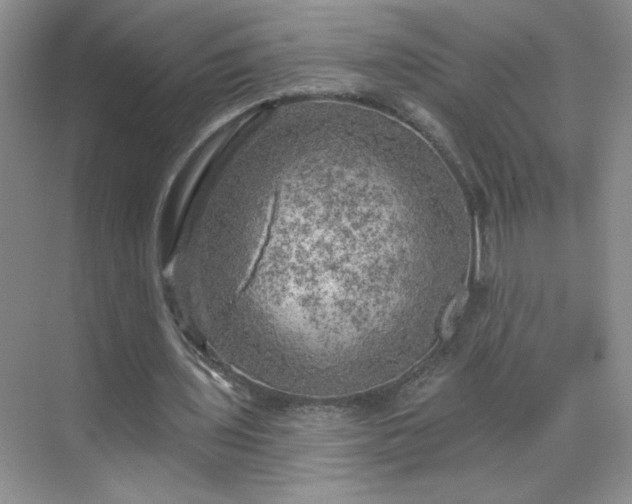 X0000070420435200606161442