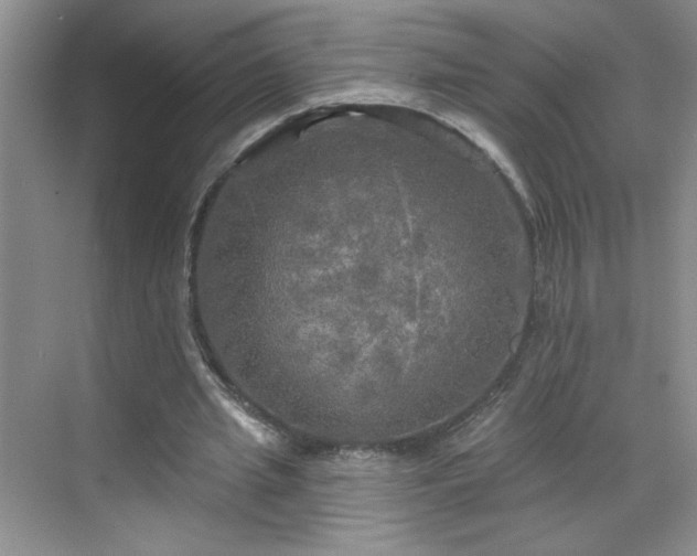 X0000070420437200606161442