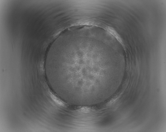 X0000070420441200606161442