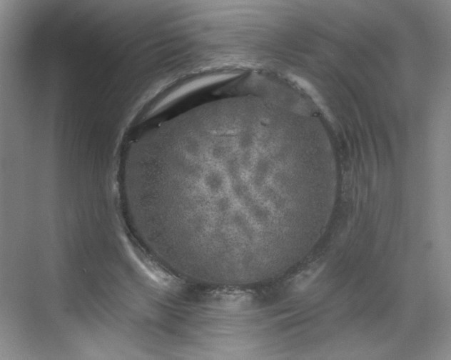 X0000070420443200606161442