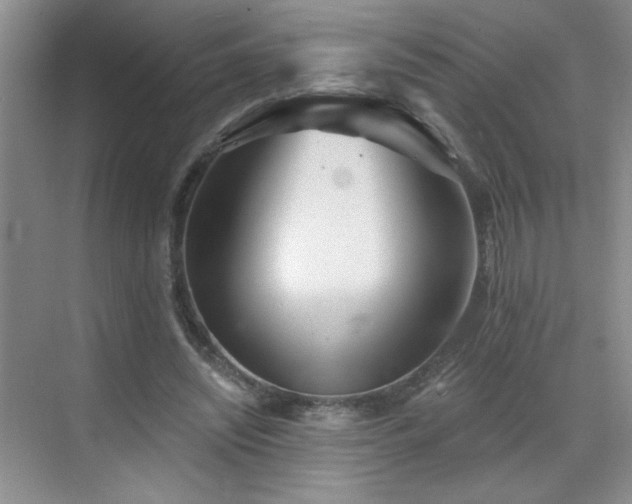 X0000070420444200606161442