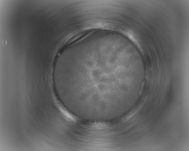 X0000070420445200606161442