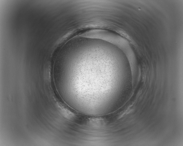 X0000070420446200606161442