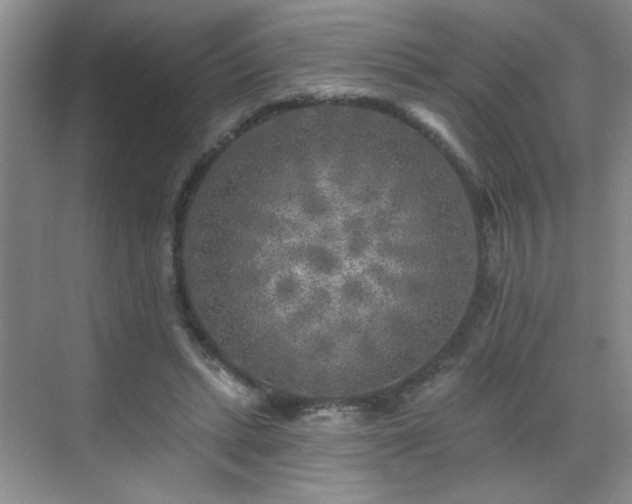 X0000070420447200606161442