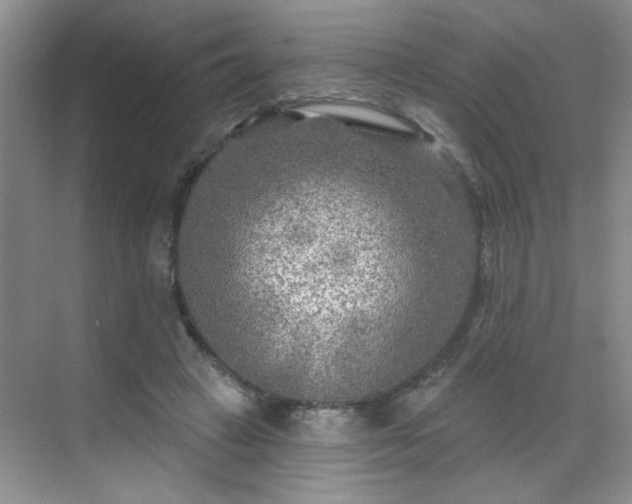 X0000070420449200606161442