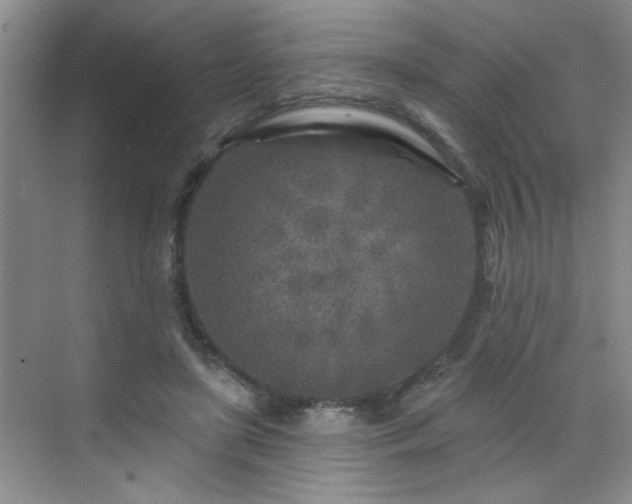 X0000070420451200606161442