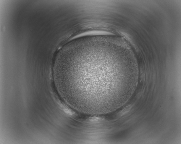 X0000070420453200606161442