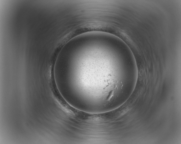 X0000070420454200606161442