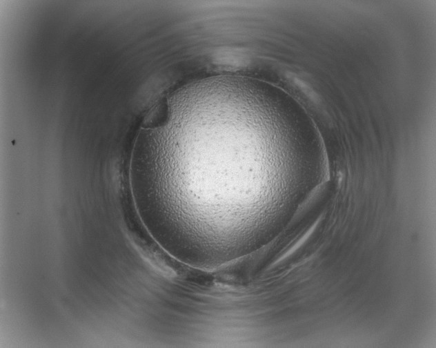 X0000070420455200606161442