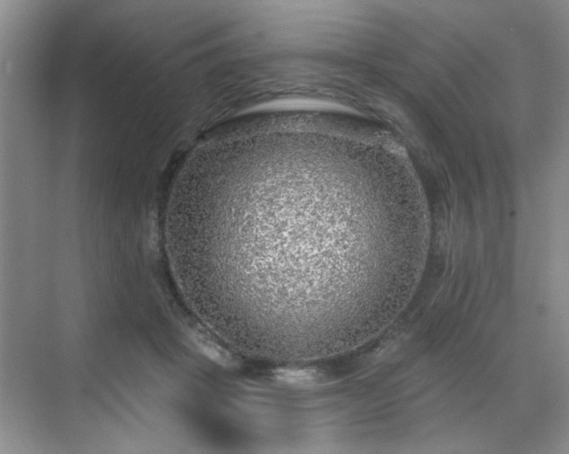 X0000070420457200606161442