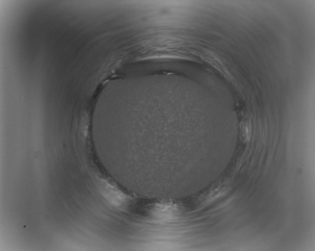 X0000070420458200606161442