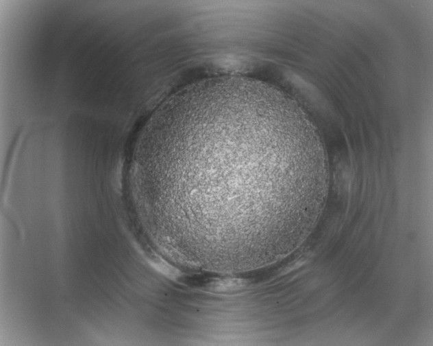 X0000070420459200606161442