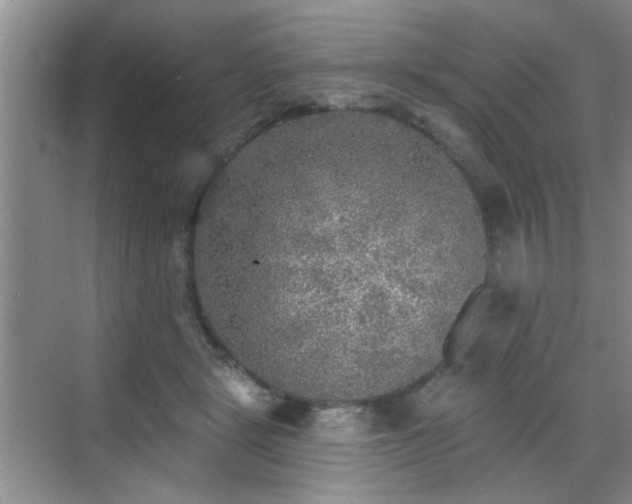 X0000070420461200606161442