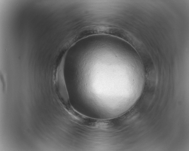 X0000070420462200606161442