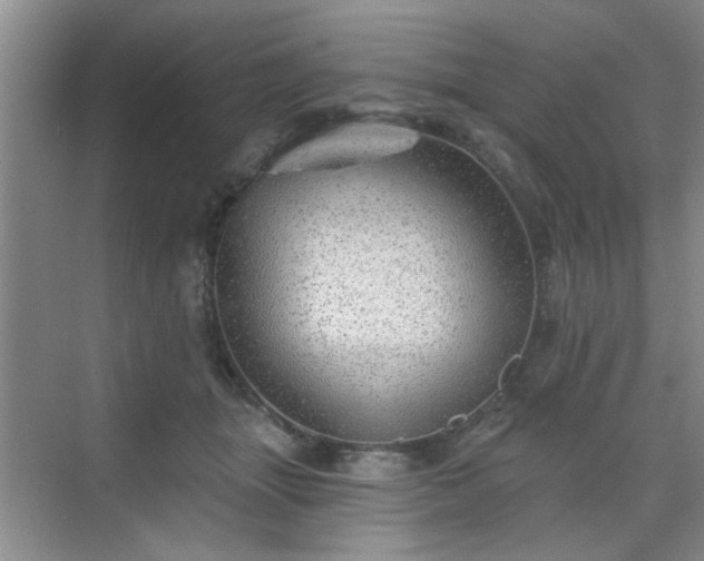 X0000070420463200606161442