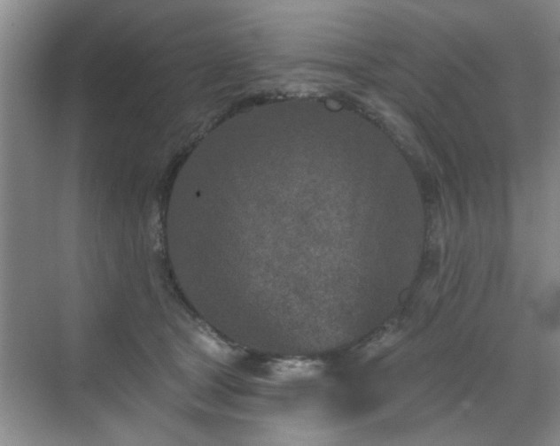 X0000070420465200606161442