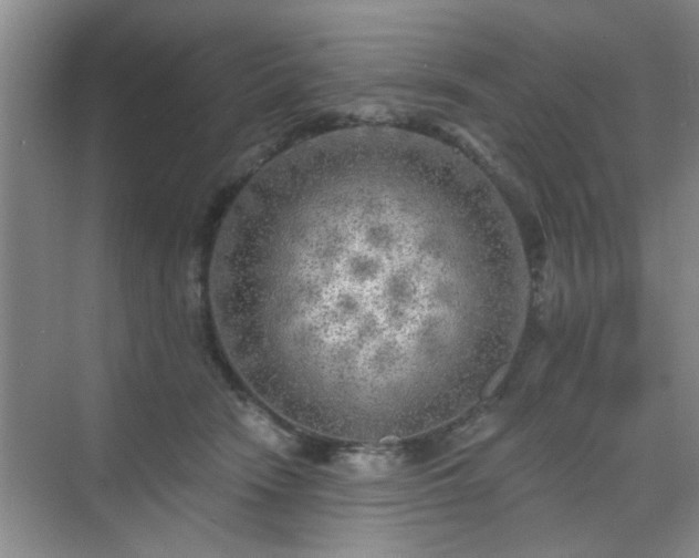 X0000070420466200606161442