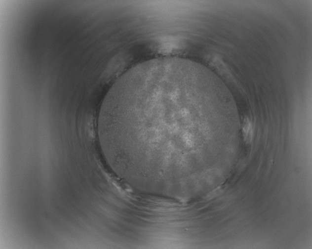 X0000070420470200606161442