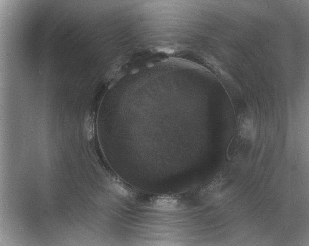 X0000070420471200606161442