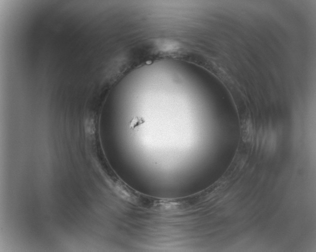 X0000070420472200606161442