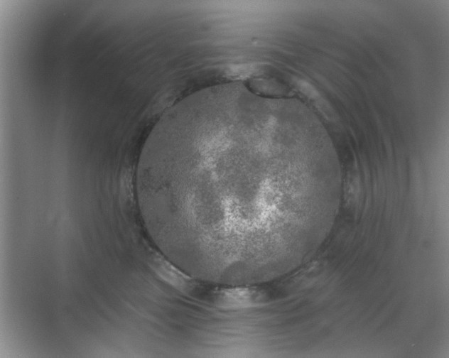 X0000070420473200606161442