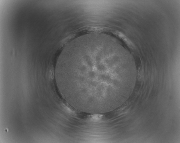 X0000070420474200606161443