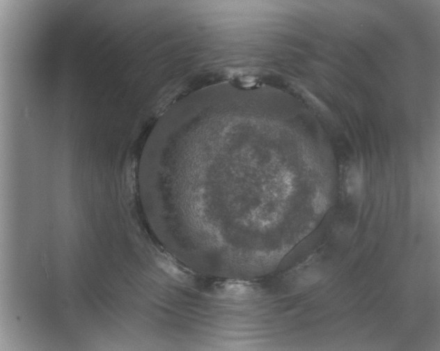 X0000070420475200606161443