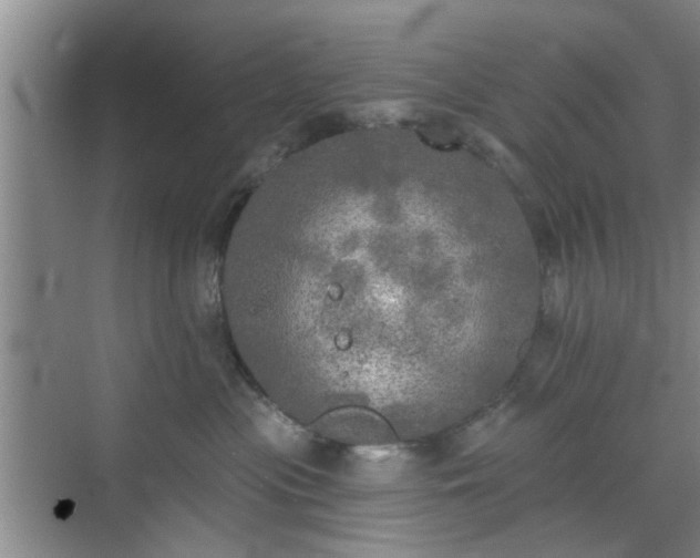 X0000070420477200606161443