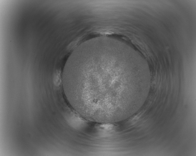 X0000070420478200606161443