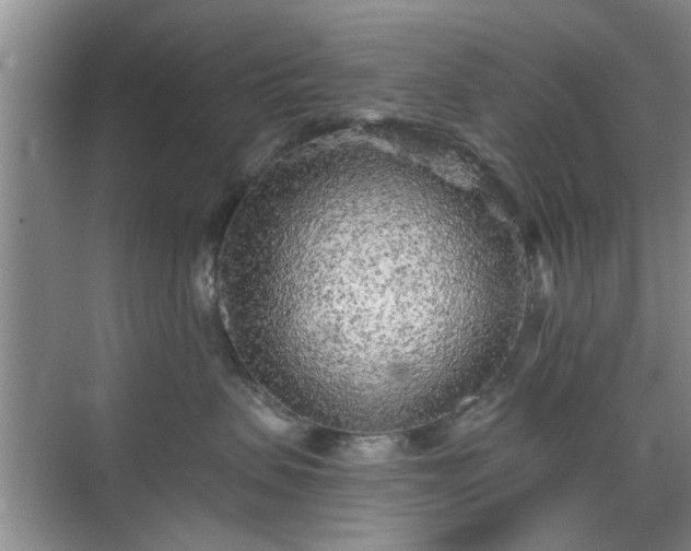 X0000070420479200606161443