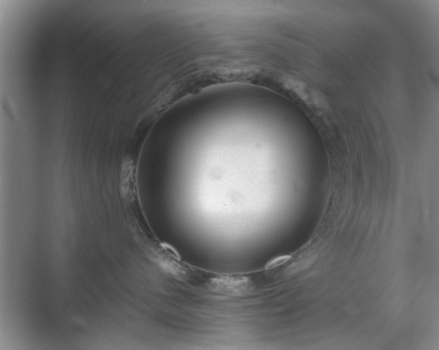 X0000070420480200606161443