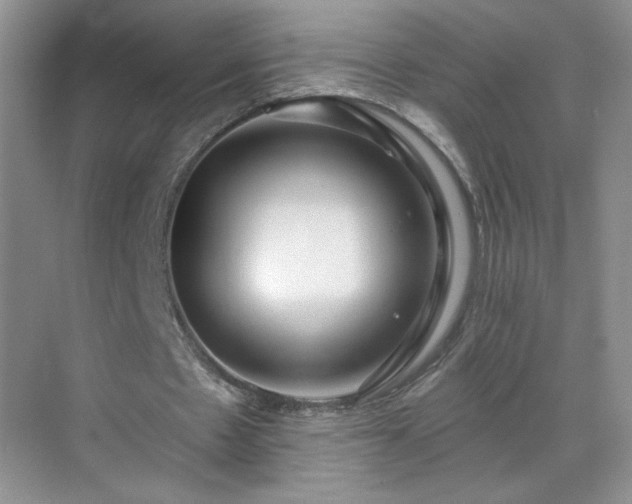 X0000070420481200606161442