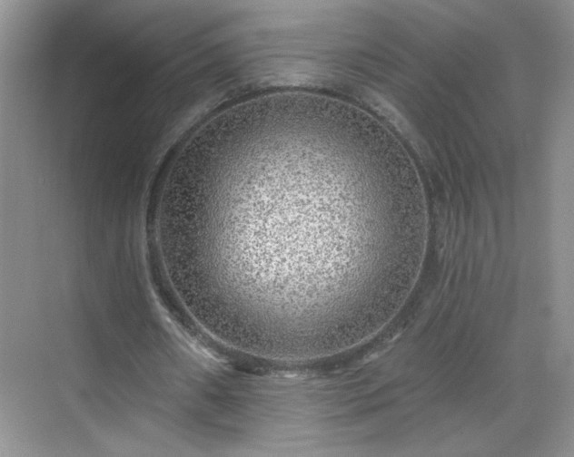 X0000070420482200606161442