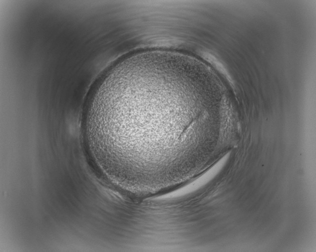 X0000070420483200606161442