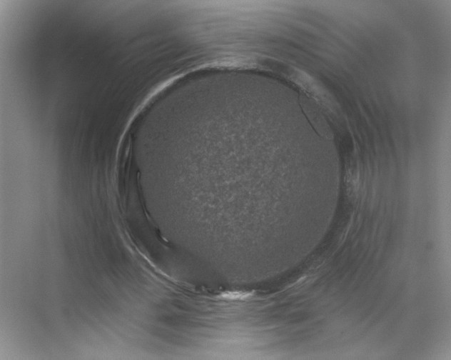 X0000070420484200606161442