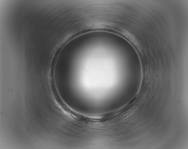 X0000070420485200606161442