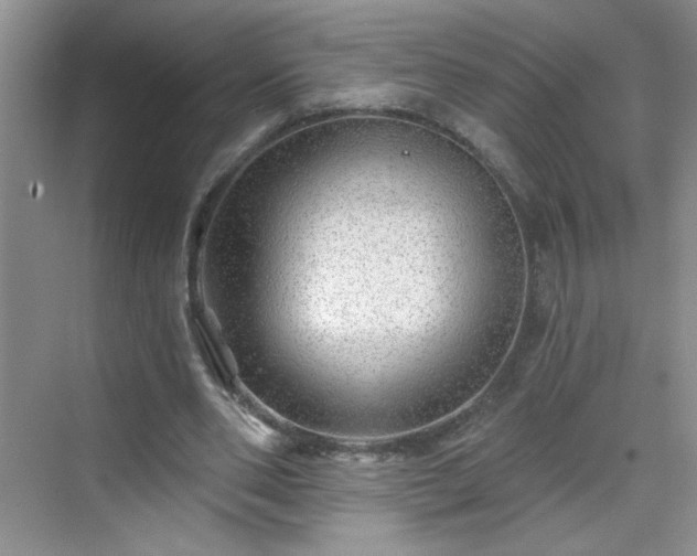 X0000070420486200606161442