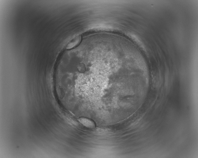 X0000070420487200606161442