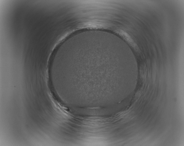 X0000070420488200606161442