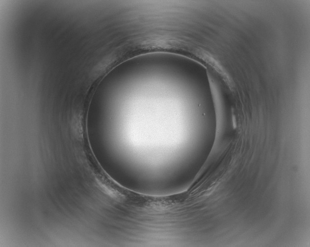 X0000070420489200606161442