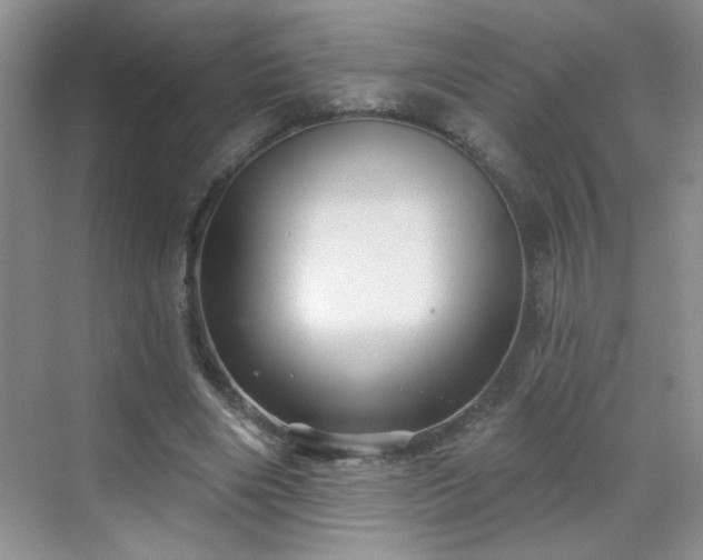 X0000070420490200606161442