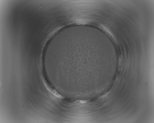 X0000070420492200606161442