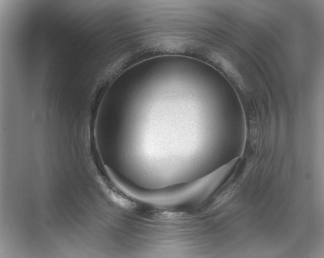 X0000070420493200606161442