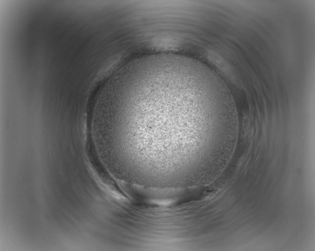 X0000070420494200606161442