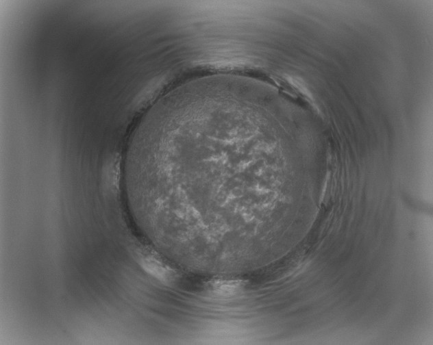 X0000070420495200606161442