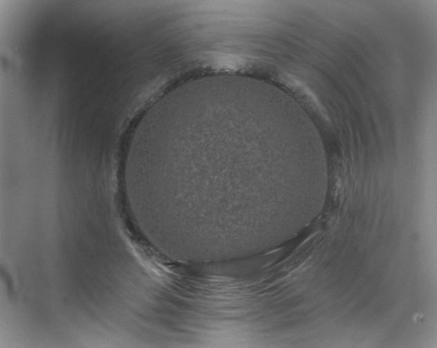 X0000070420496200606161442