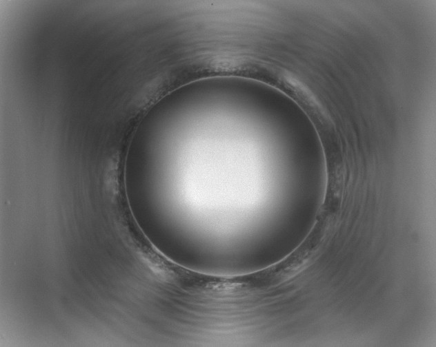 X0000070420497200606161442