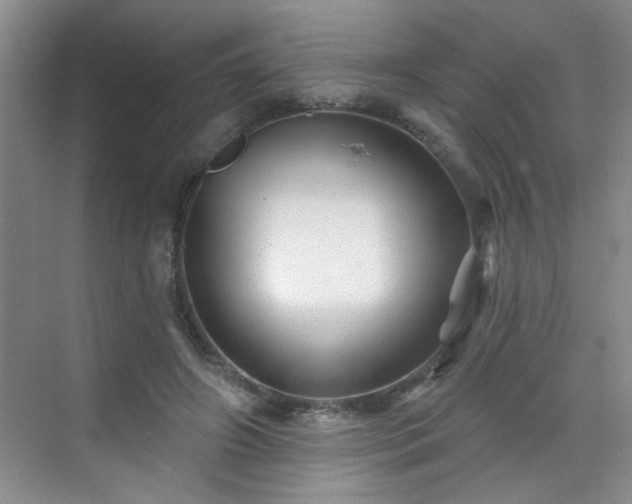 X0000070420498200606161442